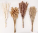 Dried pampas grass decor