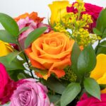 Long-Stemmed Rose Bouquet (12 Stems)