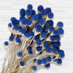 Natural blue dried sea holly bouquet (40 stems)