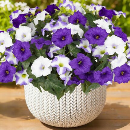 Outdoor faux petunias