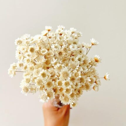 Natural dried flower bouquet