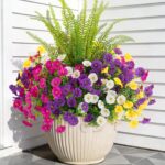 12 bunches of faux morning glories